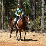 State Champs - Log Fence (35)