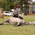 Vicki - A J Show_987