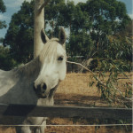img001