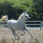 img010b