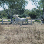 img011