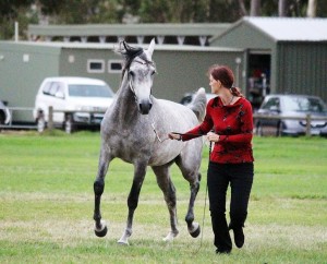 2 Katherine Scott Photo